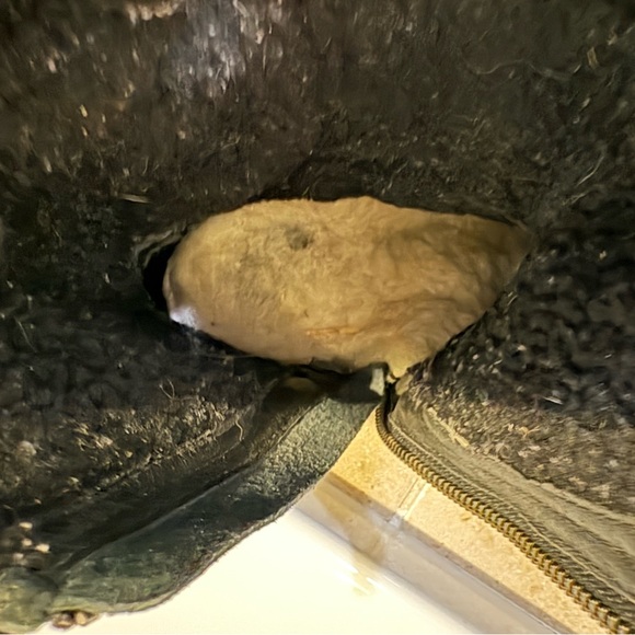 UGG. Black boots. Size 8. - Picture 10 of 11